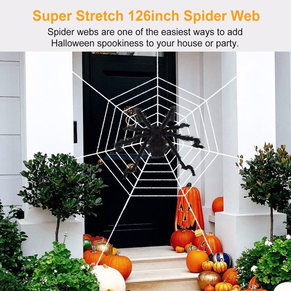 Halloween Decorated Spider Webs