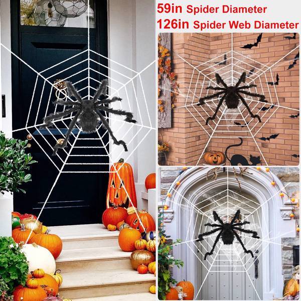 Halloween Decorated Spider Webs