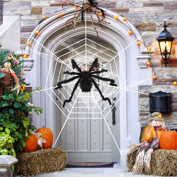 Halloween Decorated Spider Webs