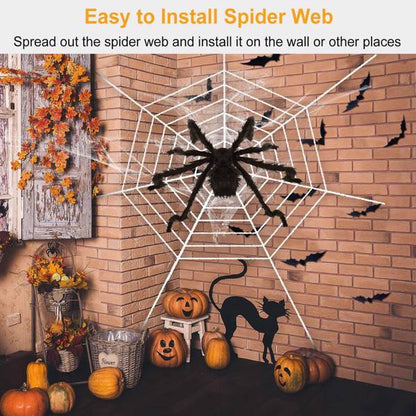 Halloween Decorated Spider Webs