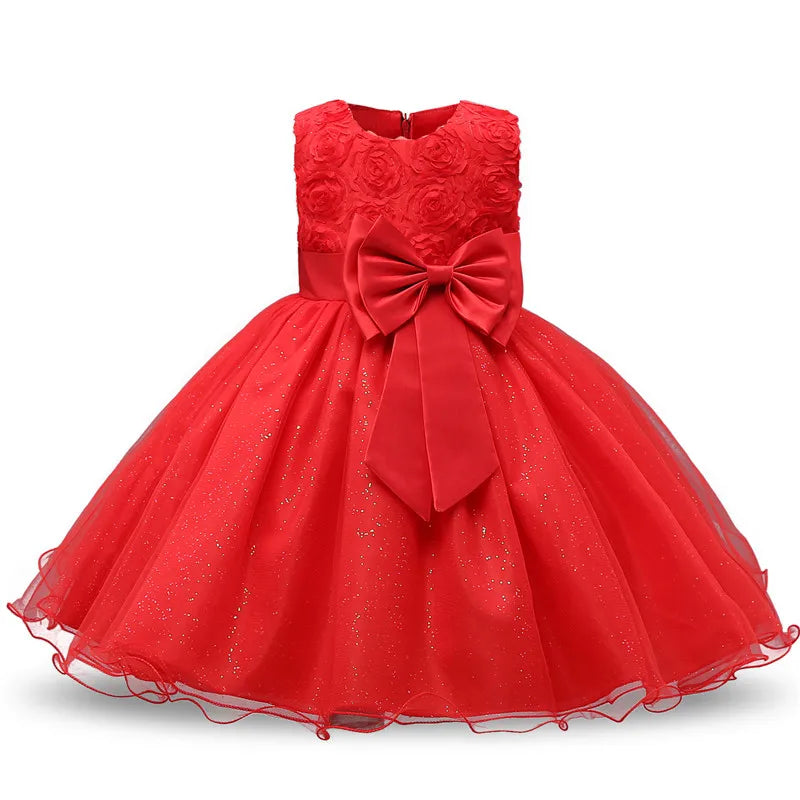 Elegant Princess Lace Party Dress