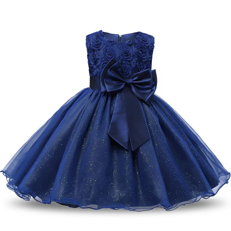 Elegant Princess Lace Party Dress