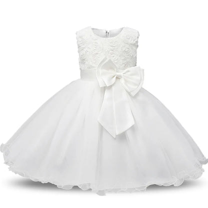 Elegant Princess Lace Party Dress